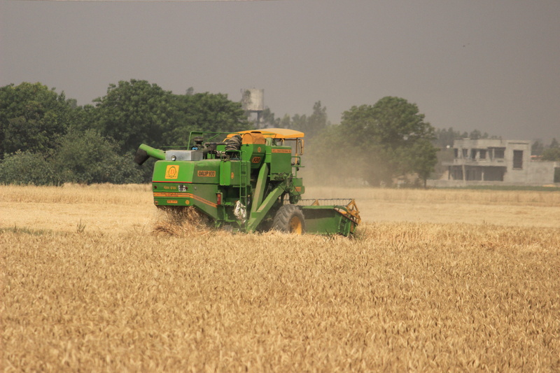 landscape, combine harvester, agricultural, farming, summer, tractor, outdoor, field, transportation, countryside, plant, farm, food, growth, agriculture
