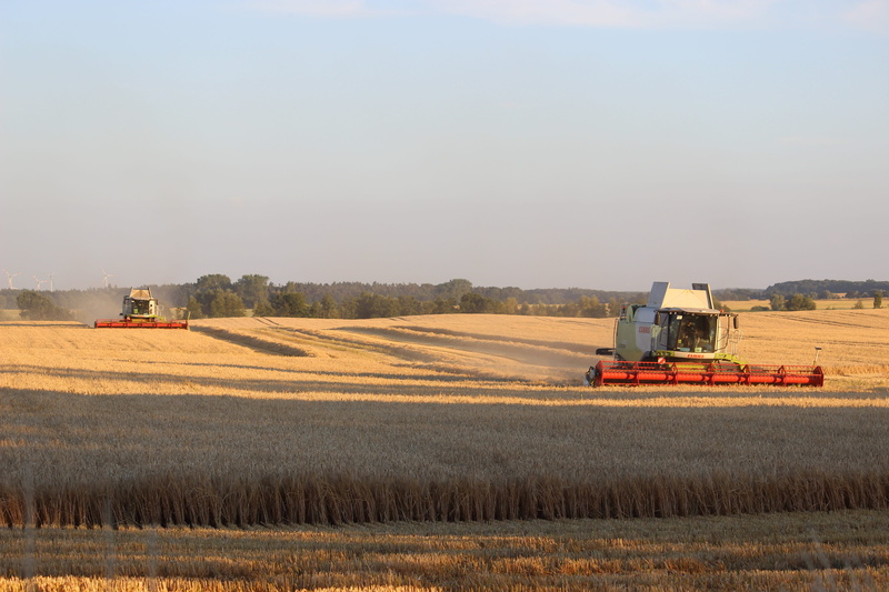 agricultural equipment, ripe, harvest, land, tractor, rural scene, combine harvester, crop, land vehicle, cereal plant, agriculture, plant, summer, transportation