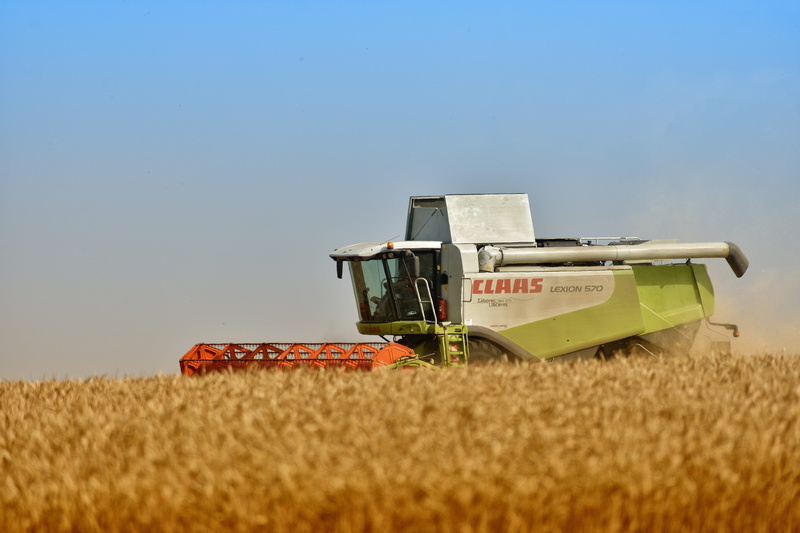 summer, selective focus, grain, agricultural machinery, holidays, wheat, rural scene, technique, copy space, background, nature, blue, plant, 2K, crop
