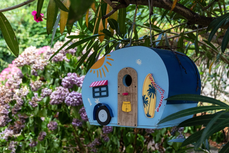 leisure activities, machine, blue, insect, motor, animal, flora, close-up, bird, tree, growth, bird house, wooden, hanging, house, home, sunlight, land