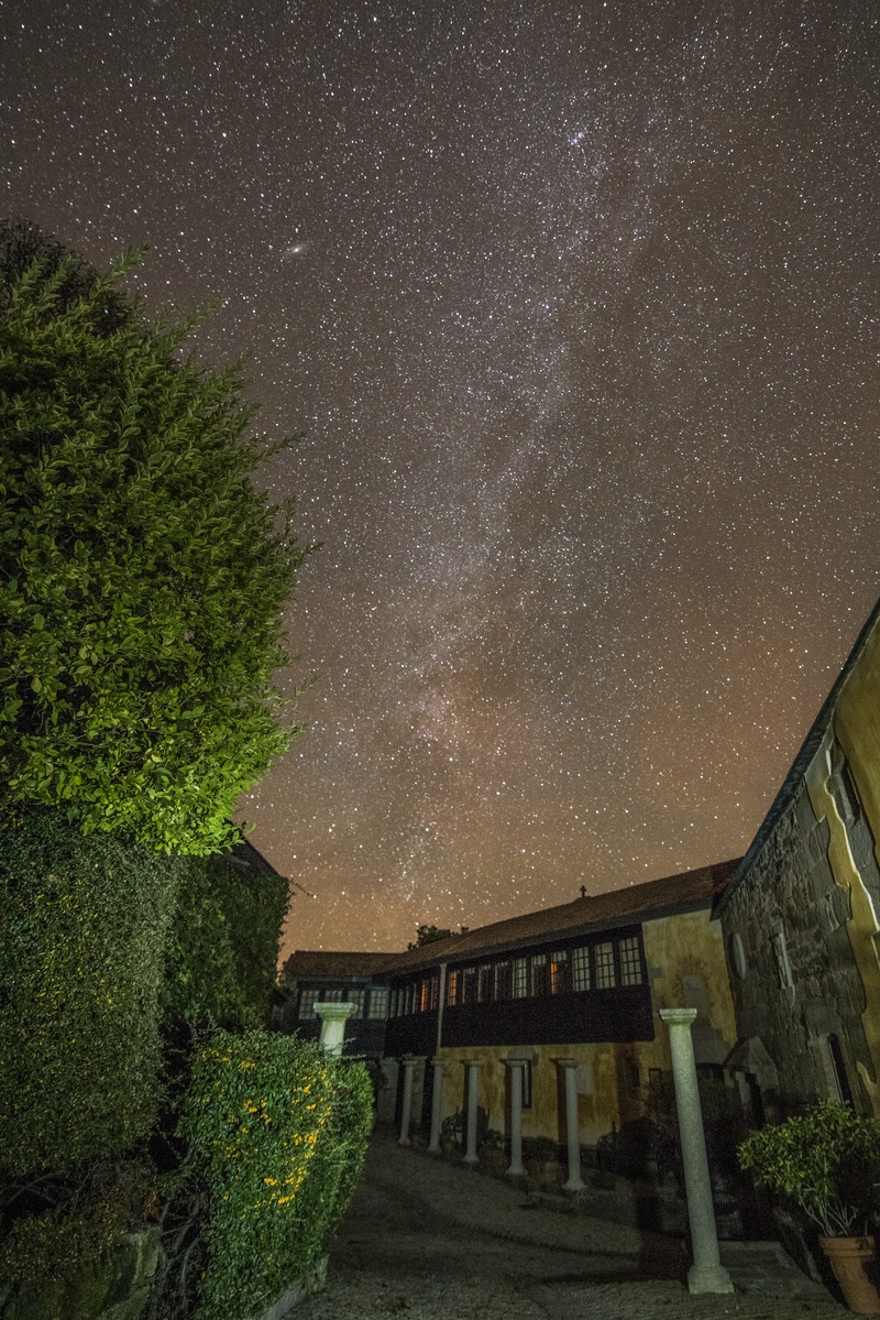 plant, chaguazoso, star, to close, backyard, nature, outdoors, milky way, galicia, constellation, built structure, star - space, space, astronomy, galaxy