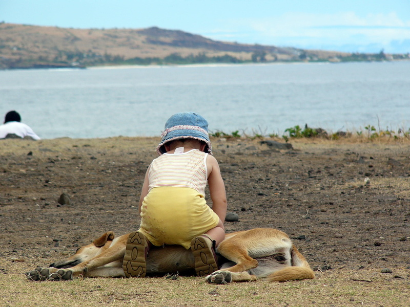 1080P, domestic animals, sand, land, people, real people, leisure activity, kids, water, toddler, one person, sitting, small, child, canine, friendship