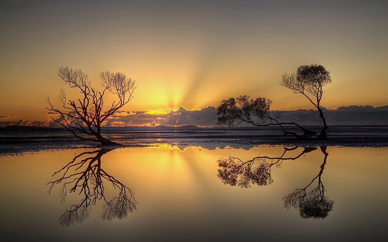 plant, decline, non-urban scene, reflection, cloud - Sky, outdoors, landscape, silhouette, 2K, back Lit, nature, tranquil Scene, backgrounds, scenics