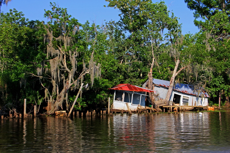 destroyed, tranquility, broken, hurricane, tree, diladitated, day, reflection, ruin, swamp, plant, storm, building, water, nature, outdoors, river, camp