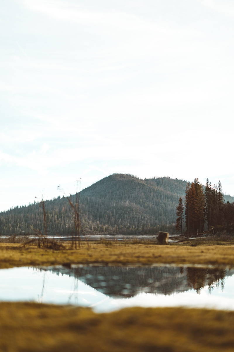 puddle, sky, environment, tranquility, no people, scenics - nature, housing, day, swamp, building, landscape, water, bog, 5K, tress, house, plant, marsh
