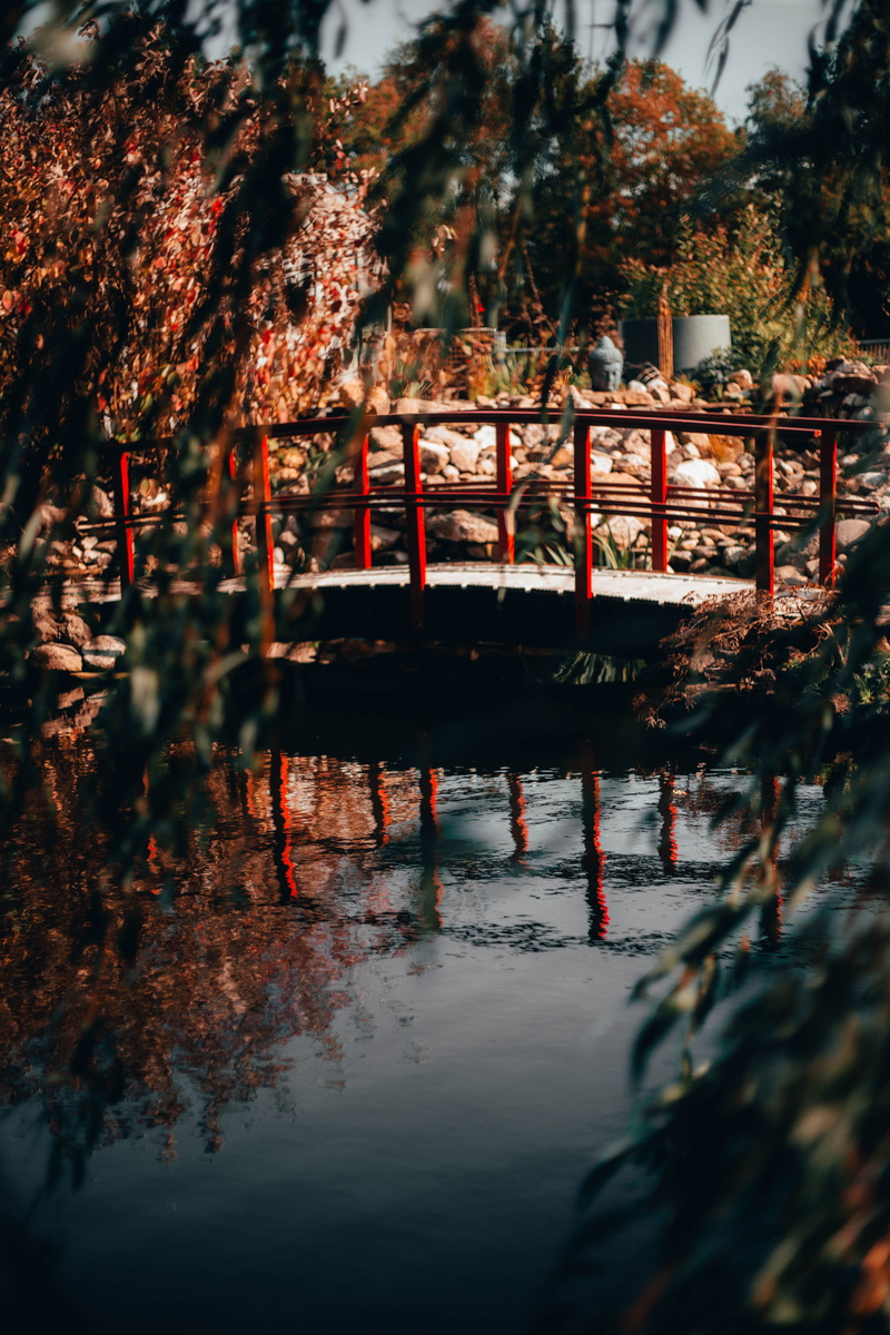 campus, flora, selective focus, nature, waterfront, plant, sea, river, shop, building, ocean, water, urban, city, architecture, land, brown, focus on background