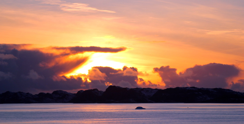 summer, Sunset, land, reflection, tranquility, animal wildlife, mammal, Greenland, dusk, animal, 5K, sunlight, photos, coastline, dramatic sky, water