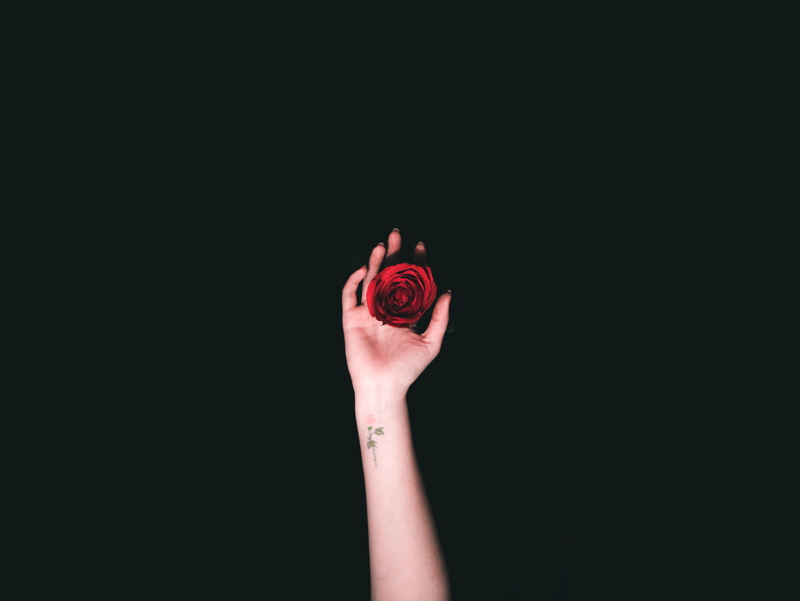 hope - concept, 4K, arm, human body part, human limb, person, human hand, red, body part, nature, finger, close-up, tattoo, human arm, hand, rose - flower