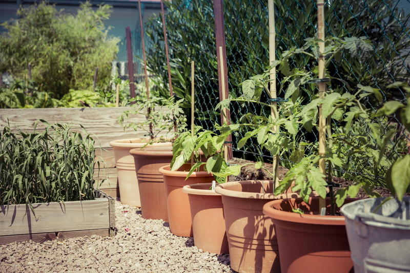 nature, furniture, outdoors, sunlight, gardening, plant nursery, greenhouse, harvesting, agriculture, food, day, guerilla, absence, plant part, potted plant