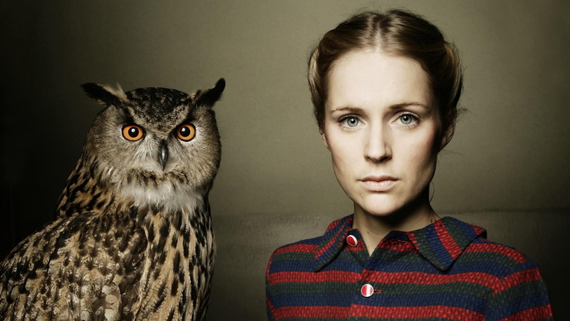 females, cute, looking, red, mammal, agnes obel, hair, contemplation, animal Eye, headshot, studio Shot, pets, cat, animal, hairstyle, domestic, feline
