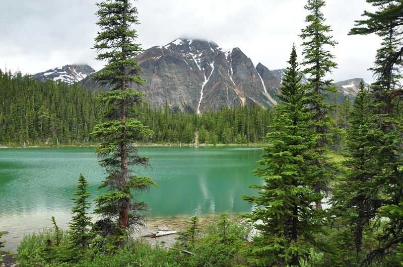 landscape, jasper, edith, cavell, 4K, mountain, park, lake, national