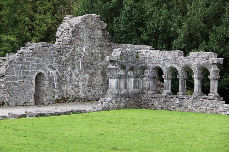 irish, gray, tree, stone Material, monastery, abbey, plant, ruins, ancient civilization, damaged, no people, grass, day, old Ruin, history, green color
