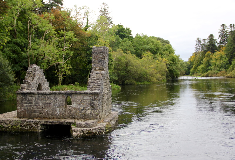 plant, outdoors, ruined, the past, tree, green color, 4K, irish culture, growth, park, christianity, tranquility, beauty in nature, river, lake, day, trees