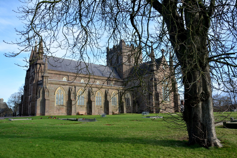 no people, historical, irish, ireland, cathedral, 5K, architecture, bare tree, day, religion, outdoors, plant, land, attraction, place of worship, history