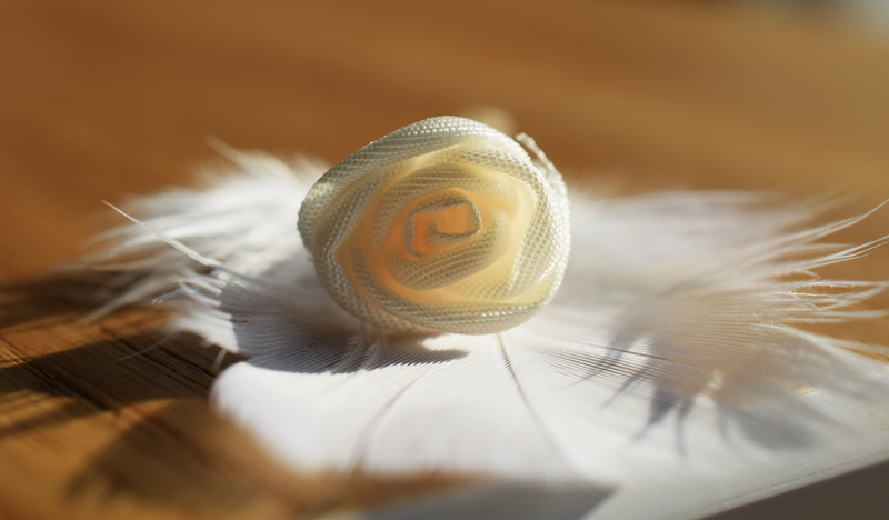 extreme close-up, wedding, larissa, white, lightweight, no people, 5K, little flower, fragility, softness, studio shot, animal themes, wood - material