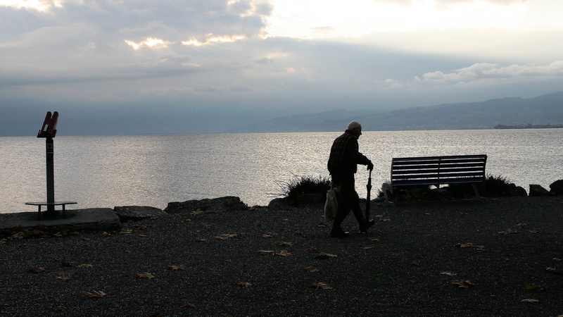 view, senior, bodensee, a person, clouds, sunrise, scenics - nature, lake, the rays, the path, autumn, old, in the morning, the silhouette, real people