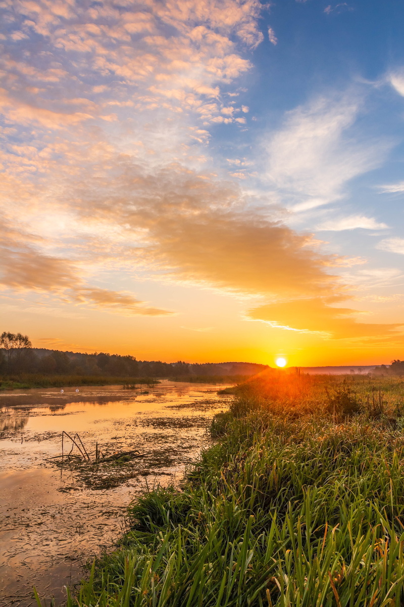 mood, bright, sun, land, in the morning, orange, field, autumn, plant, figure, cloud - sky, beauty in nature, landscape, orange color, tranquility, the sun