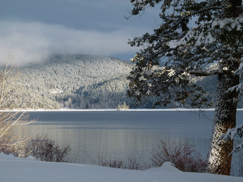 coniferous tree, canada, Landscape, water, sky, cariboo, no people, winter magic, nature, winter dream, lake, beauty in nature, mountains, pine woodland