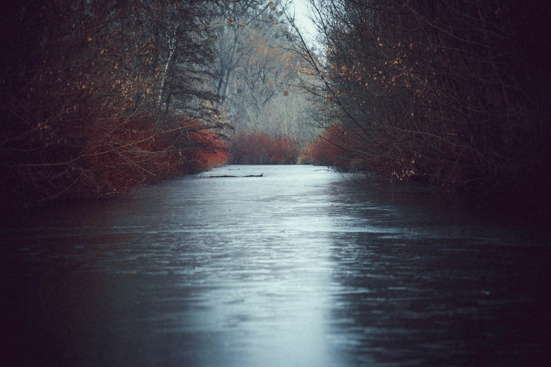 frozen, cold, direction, nature, diminishing perspective, forest, tranquil scene, non-urban scene, tree, beach, surface level, the way forward, river, frost