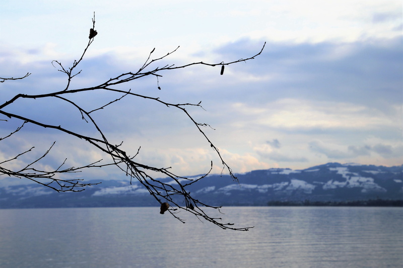 the wave is reflected, the beauty of the mountains, bare tree, winter, leafless, reflection, spacer, the horizon, cloud - sky, clouds, lake, scenery, mountains