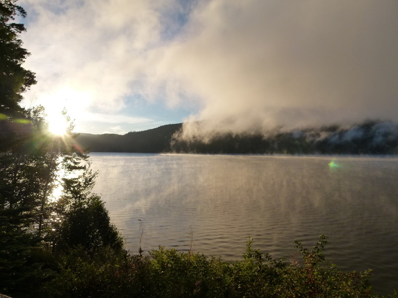 morning glory, reflection, countryside, tranquil scene, Sunrise, environment, sky, reflections, tree, no people, tranquility, cloud - sky, scenics - nature
