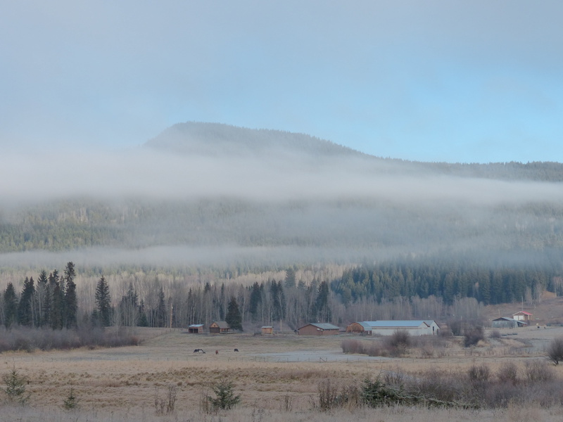 sky, canim lake, first frost, plant, mountain, weather, environment, remote, forest, field, clouds, british columbia, outdoor, scenics - nature, autumn