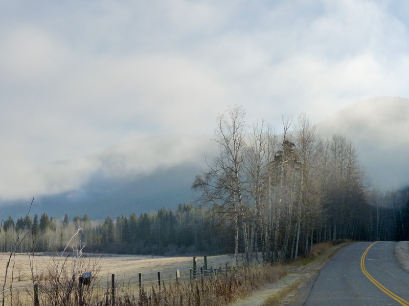 morning glory, beauty in nature, outdoor, landscape, 4K, canim lake, transportation, paved road, scenics - nature, countryside, outdoors, direction, fog