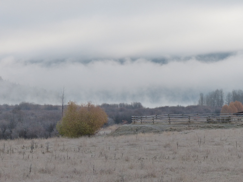 clouds, 4K, outdoor, plant, tranquility, first frost, outdoors, beautiful, tranquil scene, landscape, no people, morning glory, scenics - nature, cloud - sky
