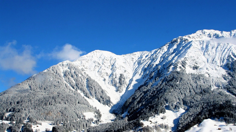 white color, in the mountains, nature, no people, day, the beauty of the mountains, the height of the, pine tree, the cold season, beauty in nature, blue