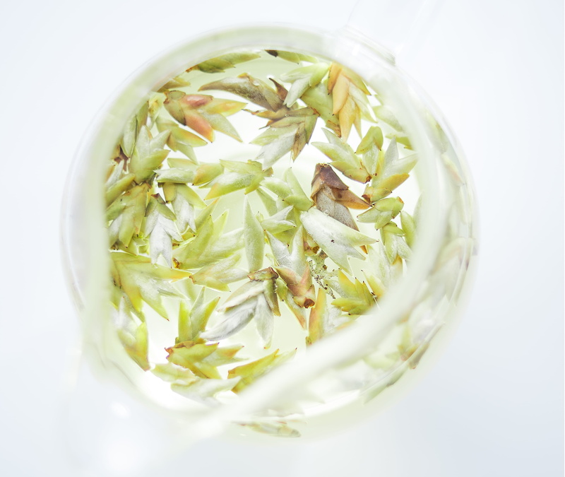 green color, pu-erh, 4K, still life, water, food, fresh, healthy eating, cut out, indoors, teapot, clear, light, wellbeing, drink, beverage, close-up