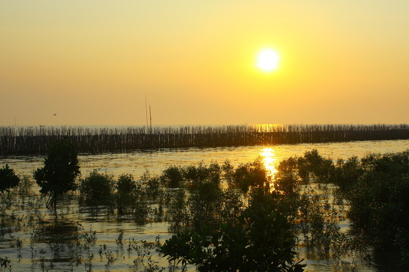pu, sun, bang poo, beauty in nature, outdoors, no people, 4K, water, tranquil scene, sunset, non-urban scene, tree, silhouette, nature, sky, lake, sunlight