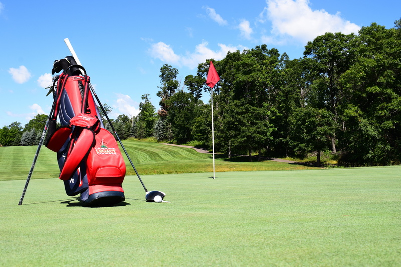 sunlight, land, day, leisure activity, tree, sky, sport, flag, nature, plant, 5K, red, activity, driver - golf club, golf course, green - golf course