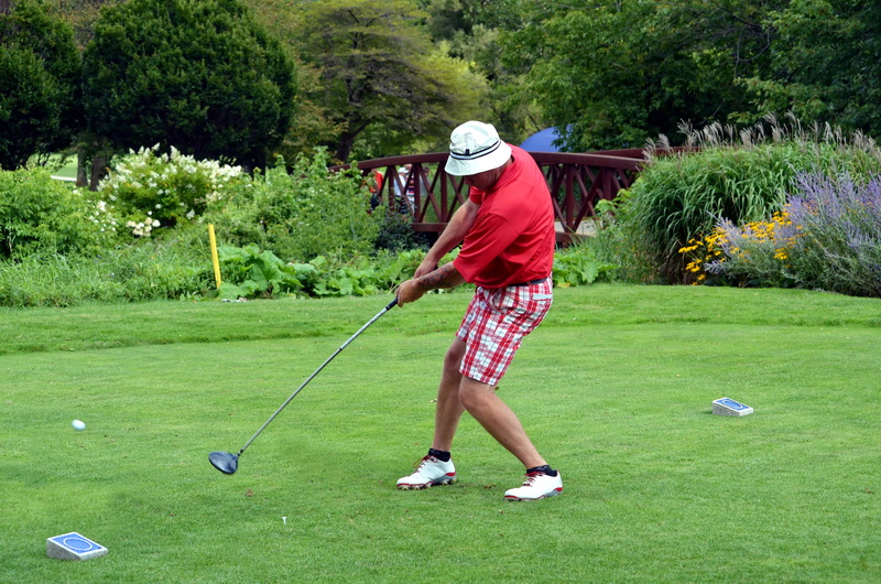 male, fairway, trees, nature, tree, weekend activities, green - golf course, club, teeing ground, shot, golf, impact, golfing, golf tee, game, driver, man