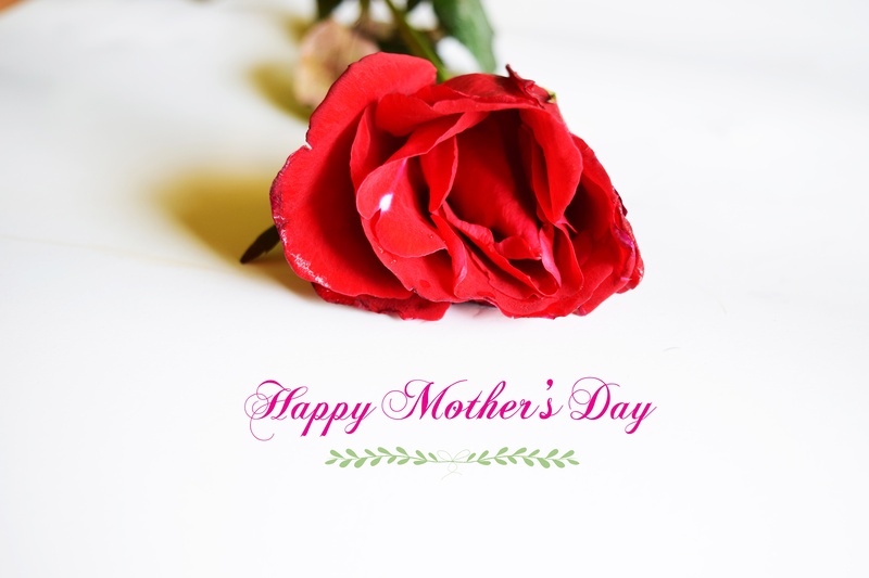 flower gift, s, bow, bouquet, label, love, pretty, communication, happy, march, petal, no people, purple, flower arrangement, card, mother, vulnerability