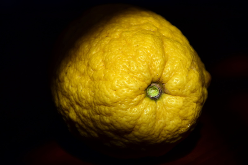 food, orange, cedrat, diamond green, freshness, ripe, vitamins, no people, nature, citrus Fruit, studio shot, healthy, yellow, single object, cedrela odorata