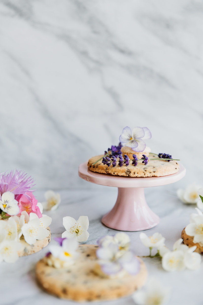 no people, snack, petal, food and drink, sweet food, flower, unhealthy eating, ready-to-eat, freshness, plant, plate, dessert, sugar, still life, cake