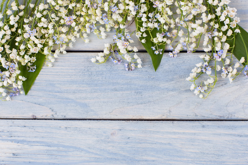 lily of the valley, flowers, spring, wood, 5K, lilies of the valley, white, bouquet
