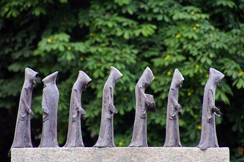 barrier, wood - material, focus on foreground, plant, boundary, carthusians, silence, walk, silentium, protection, memorial, grave, 4K, religious order