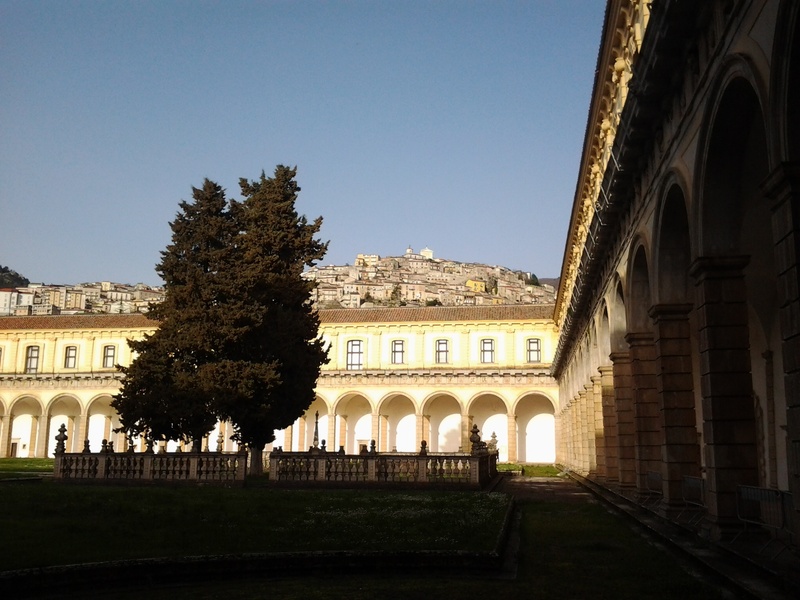 quadriportico, padula, arch, sunlight, architecture, built structure, day, the past, sky, no people, grass, clear sky, window, history, chartreuse, tree