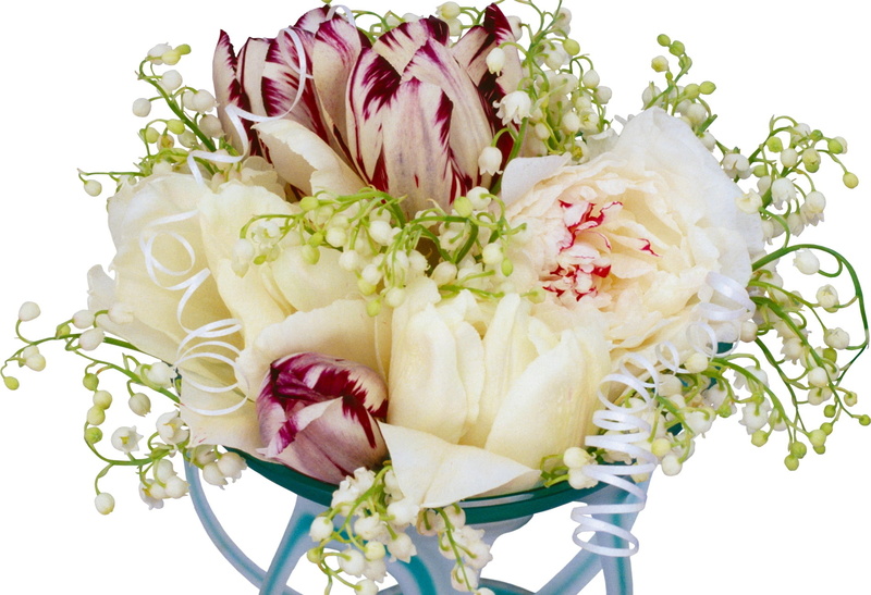 love, flower arrangement, white color, close-up, petaled, freshness, rose - Flower, arrangement, romance, elegance, beautiful, flower Head, indoors, fragility