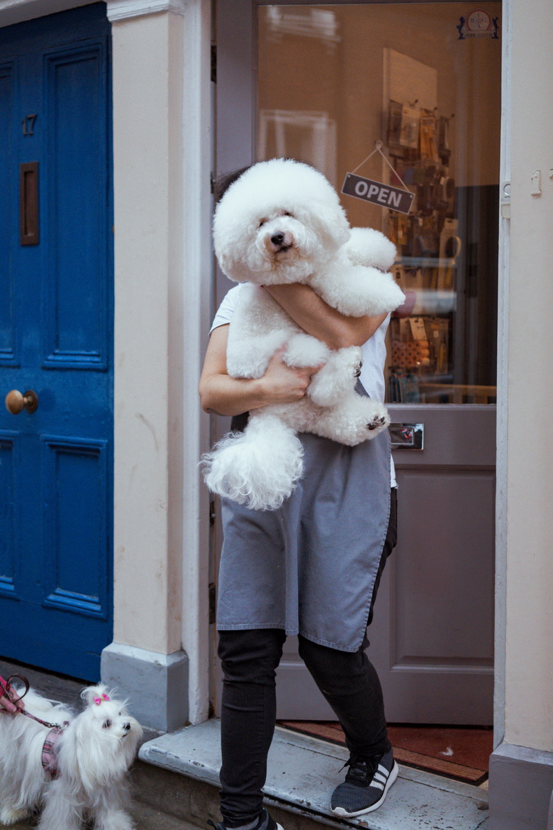 vertebrate, handrail, door, warm clothing, day, boot, lifestyles, person, apparel, dog, one person, human, standing, animal, domestic animals, canine, mammal