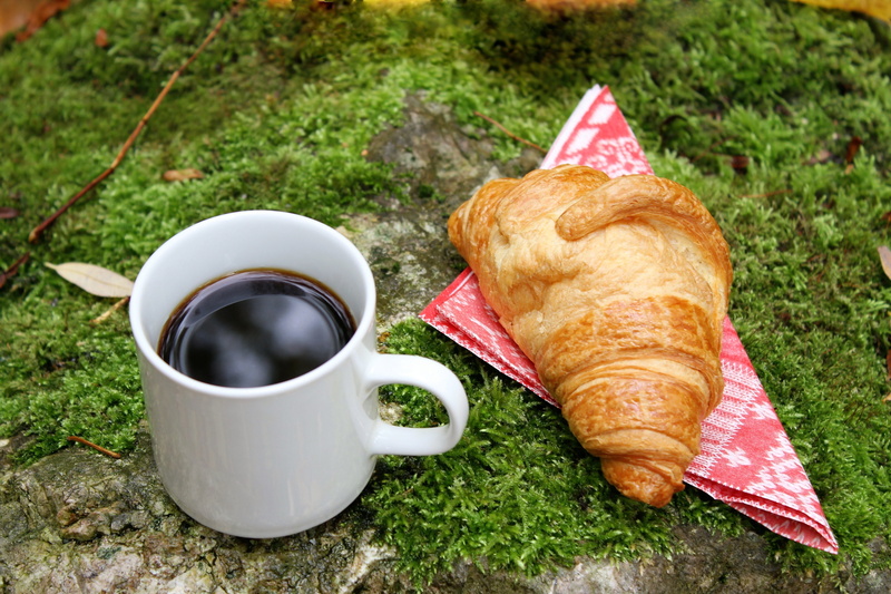 breakfast, drink, mug, coffee, pastries, benefit from, refreshment, autumn day, rest, snack, october, coffee break, french food, breakfast in nature, enjoy