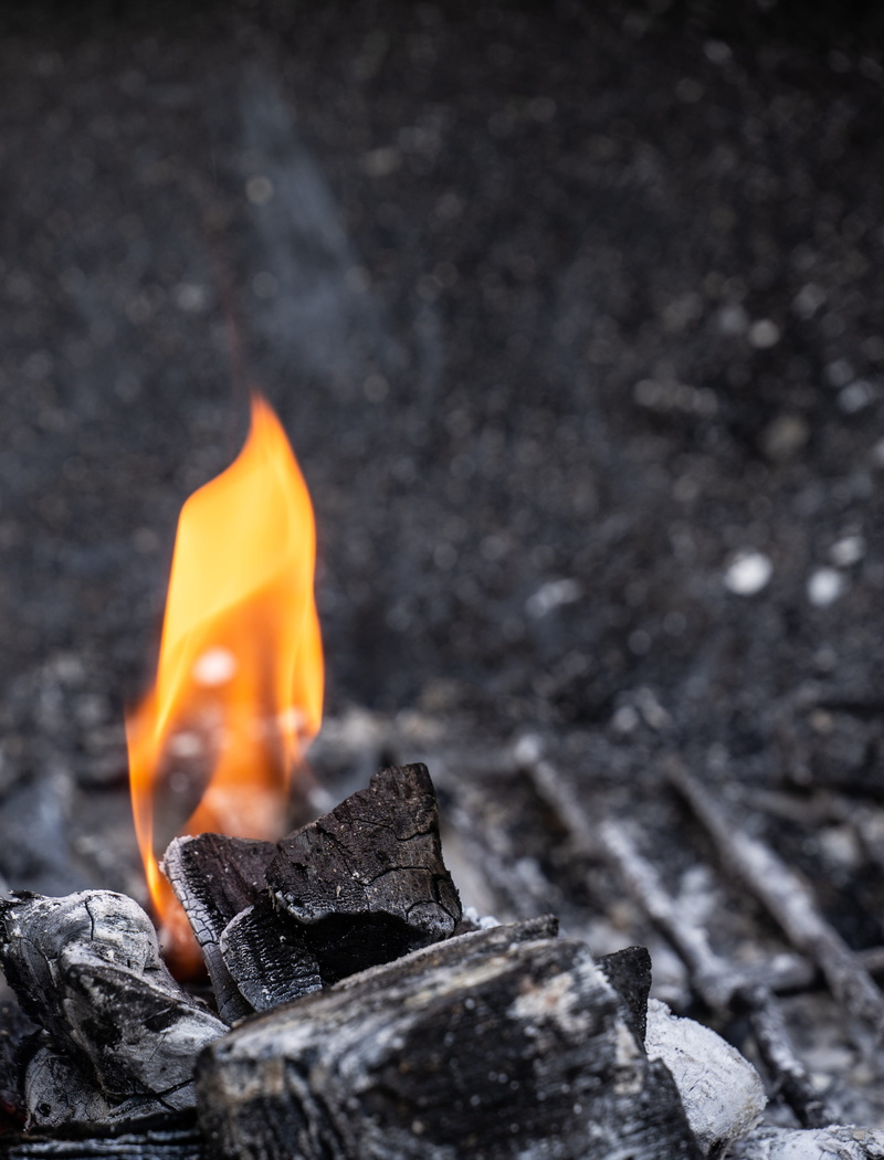 coal, grill, wood, ash, igniting, glowing, inferno, firewood, fire - Natural Phenomenon, dark, friend, burning, nature, orange, red, flame, burn, campfire