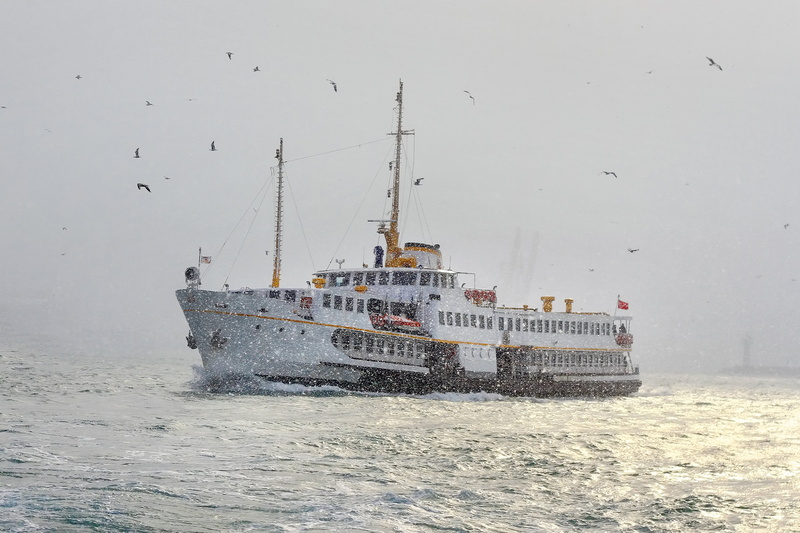 Turkey, nature, vertebrate, Bosporus Sea, fishing industry, ship, winter, passenger craft, water, sea, nautical vessel, day, animal, sailboat, sailing