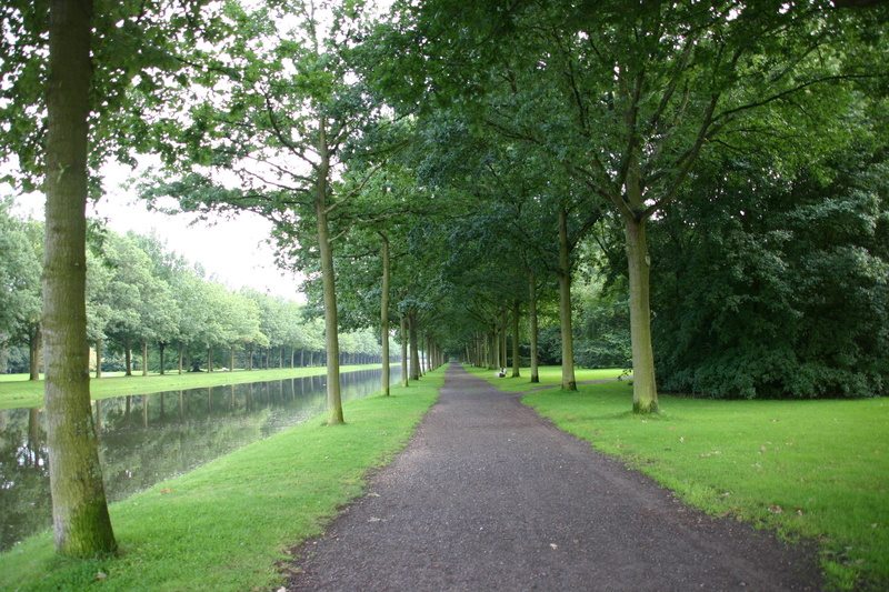 growth, road, bench, common, wilderness, tranquil scene, garden, transportation, wild, green Color, scenics - nature, sunday, 2K, stroll, tranquility