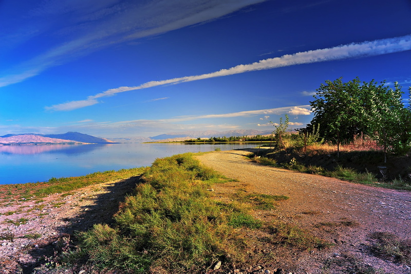 tree, turkey, natural, clouds, sky, turkiye, landscape, malatya, beauty, lake, 1080P