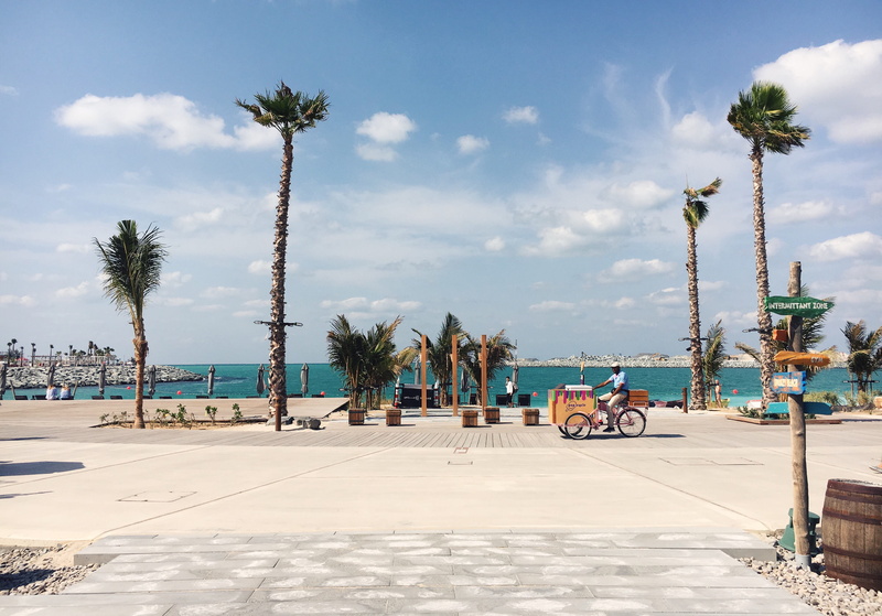 palm, outdoors, green, cloud - sky, footpath, la mer, sign, blue, plant, stone, sky, yellow, sand, beach, sunlight, architecture, water, sea, palm tree