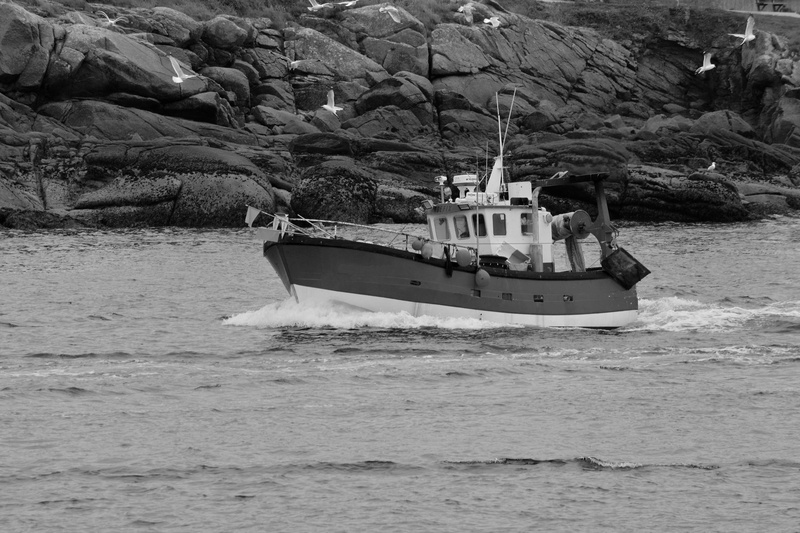 nautical vessel, bateau, no people, solid, tree, transportation, rock - object, passenger craft, plant, pche en mer, outdoors, chalutier, rock, beauty in nature