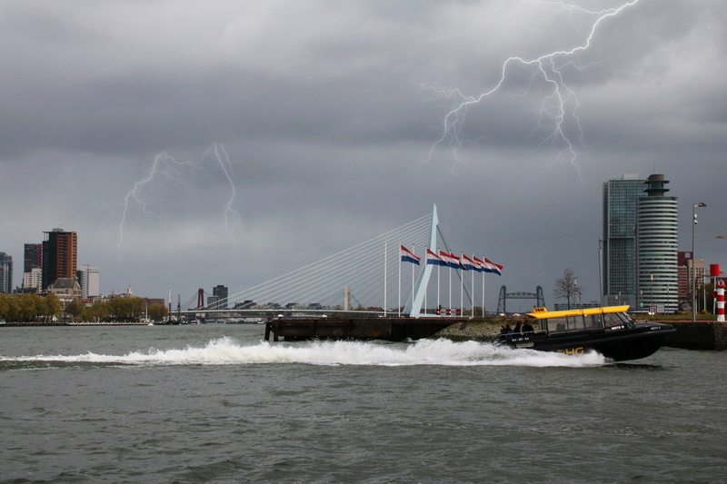 harbor, swan, power, city, office building exterior, 5K, ships, Erasmus Bridge, built structure, mode of transportation, power in nature, shipping, transportation