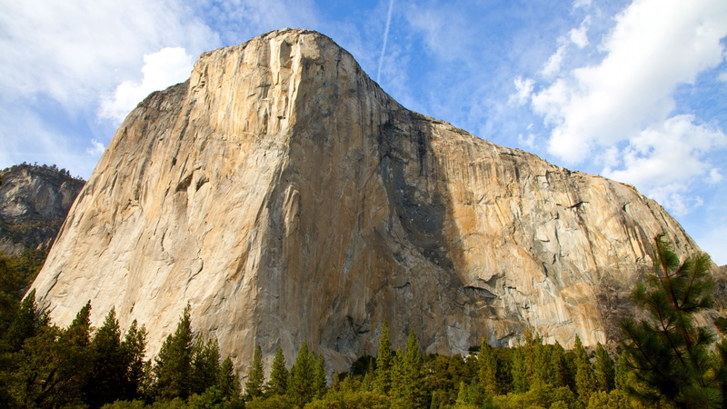 forest, 5k, HD, 5K, daytime, trees, apple, Yosemite, surrounding, El Capitan, mountain, mountains, OSX